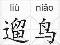 遛鸟的拼音