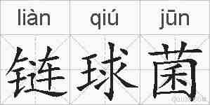 链球菌的拼音