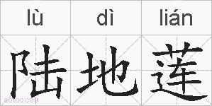 陆地莲的拼音