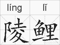 陵鲤的拼音