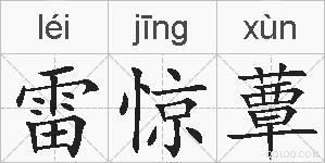 雷惊蕈的拼音