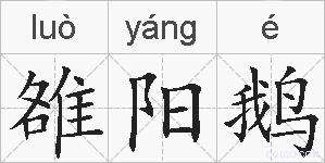 雒阳鹅的拼音