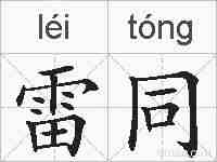 雷同的拼音