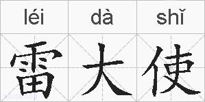 雷大使的拼音