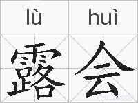 露会的拼音