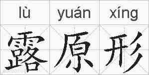 露原形的拼音