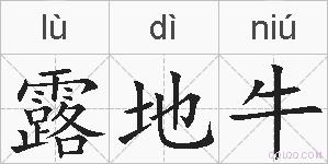 露地牛的拼音