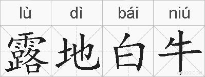 露地白牛的拼音
