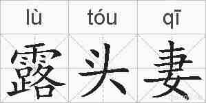 露头妻的拼音