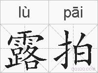 露拍的拼音