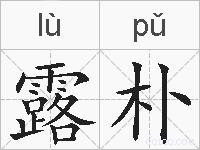 露朴的拼音