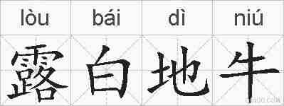 露白地牛的拼音