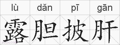 露胆披肝的拼音