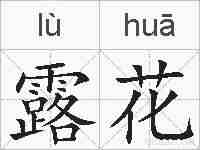 露花的拼音