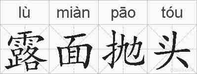 露面抛头的拼音