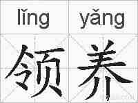 领养的拼音