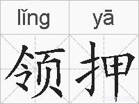 领押的拼音