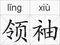 领袖的拼音