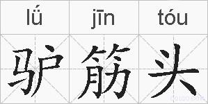 驴筋头的拼音