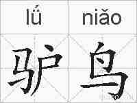 驴鸟的拼音