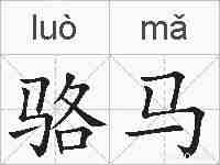 骆马的拼音