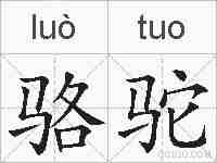 骆驼的拼音