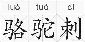 骆驼刺的拼音