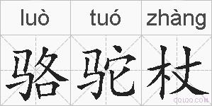 骆驼杖的拼音