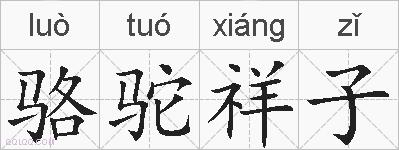 骆驼祥子的拼音
