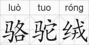 骆驼绒的拼音