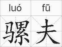 骡夫的拼音