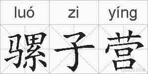 骡子营的拼音