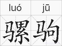 骡驹的拼音