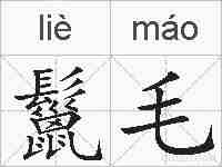 鬣毛的拼音