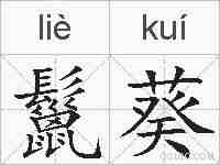 鬣葵的拼音