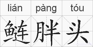 鲢胖头的拼音