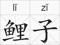 鲤子的拼音