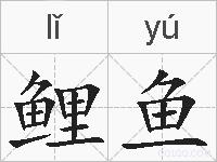 鲤鱼的拼音