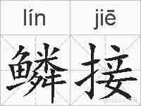 鳞接的拼音