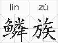 鳞族的拼音
