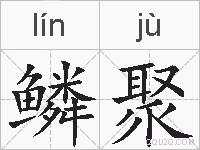 鳞聚的拼音