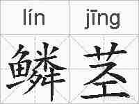 鳞茎的拼音