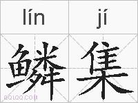 鳞集的拼音
