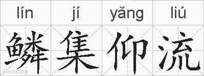 鳞集仰流的拼音