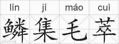 鳞集毛萃的拼音