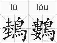 鵱鷜的拼音