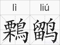 鷅鹠的拼音