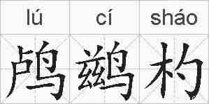 鸬鹚杓的拼音
