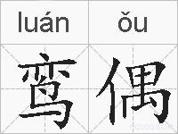 鸾偶的拼音
