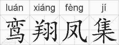 鸾翔凤集的拼音
